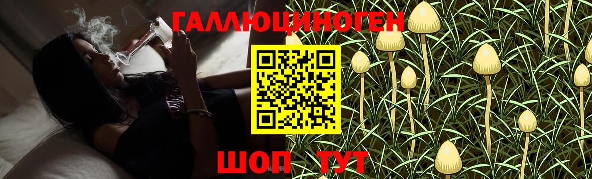 Мичуринск  Галлюциногенные грибы Cubensis  Вход с VPN 
