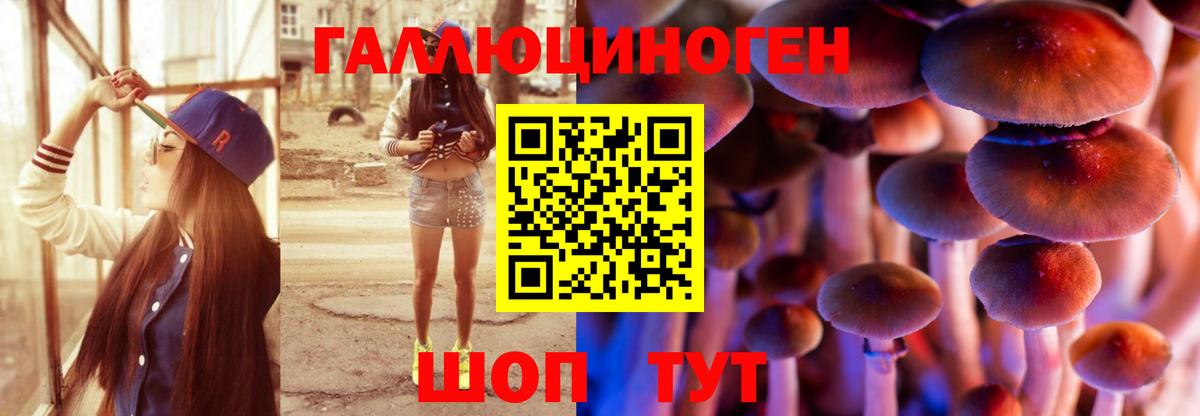 Галлюциногенные грибы Magic Shrooms Мичуринск